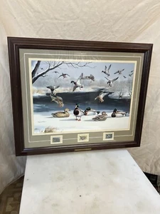 Cold Morning Mallards by Maynard Reece Framed Wildlife Preservation Stamps 16x20 - Picture 1 of 10