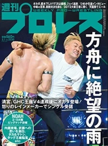 Weekly Pro Wrestling 3/1 '23 Japanese magazine STARDOM Utami Naito From Japan - Picture 1 of 1