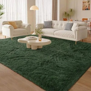 New-Litopyo Large Soft Dark Green Rugs for Bedroom, 6x9 Feet Fluffy Carpets, Ind - Picture 1 of 6