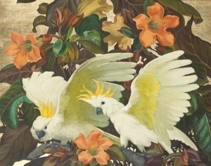 Stampa su tela cacatua Jessie Arms Botke crestato allo zolfo 16 x 20 - Foto 1 di 5