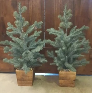 Artificial Pine Trees (Set) in Wood Box 27" Clean Unlit Natural Frost Pre-owned - Picture 1 of 13