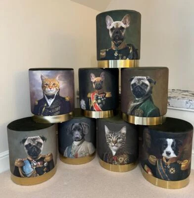 Quirky Stool - Labrador Dog in Vintage Clothing - Green Velvet Gold Base - Image 1 of 4