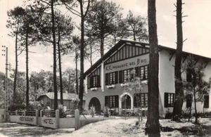Mimizan-Plage - L’Smaragd Des Holz (Fotokarte) - Bild 1 von 2