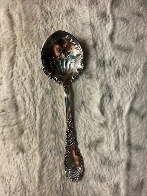 Vintage! Rogers & Hamilton 1895 Aldine Pattern Berry Serving Spoon   (D2) - Image 1 of 4