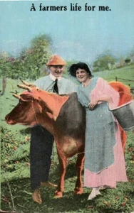 Postal de humor A Farmers Life for Me Cow Milk Maid PM 1918 - Imagen 1 de 2