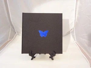 Paul Villinski - Sky-Bound Hardcover - Picture 1 of 8