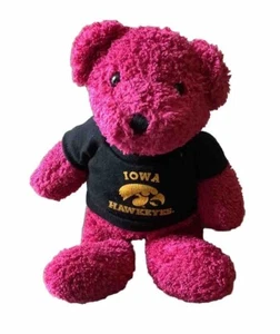 Iowa Hawkeyes Black Gold Tshirt On Pink Beanie Bear VGUC - Picture 1 of 11