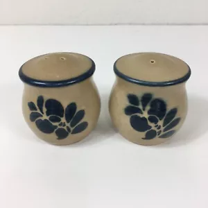 Set shaker sale pepe arte popolare Pfaltzgraff blu marrone floreale rustico 2 3 fori - Foto 1 di 6