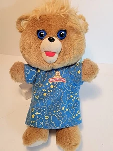 Teddy Ruxpin Hug ‘N Sing Bear Tested Plush Stuffed Animal Not Tested - Picture 1 of 8