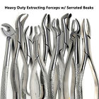 Extracting Forceps Extraction Dental Instruments Surgical Stainless Steel