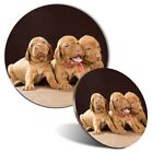 Mouse Mat & Coaster Set - Hungarian Vizsla Brown Dogs Dog Puppy  #45374