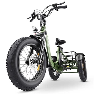 VIPCOO(Hidoes) ET1 Folding E-Tricycle 75OWatts Motor 48V E-Cargo Bike - Picture 1 of 24
