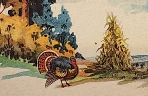 TOC Paar THANKSGIVING Postkarten Türkei Kürbis gedruckt USA nicht benutzt - Bild 1 von 5