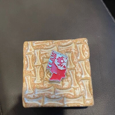 Team Washington pin - Image 1 of 2