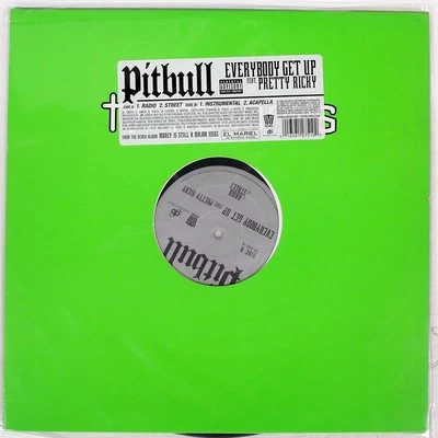 PITBULL EVERYBODY GET U TVT TV27510 US VINYL 12 Foto 1 de 2
