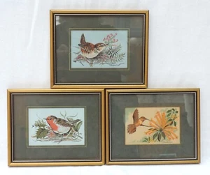 Cuadros de seda tejida Cash's of Coventry - Pájaros x 3 - Robin, colibrí rufo... - Imagen 1 de 8