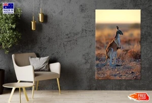 Red Kangaroo (Macropus Rufus), Adult Male Canvas Print Unframed Home Decor - Picture 1 of 5