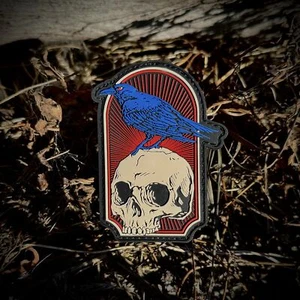 Patriot Patch Co. - Raven Skull - Patch - Picture 1 of 7