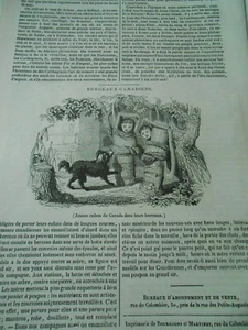 Berceaux Canadiens ( enfants ) Gravure Old Print 1836 - Picture 1 of 1