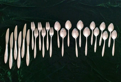 Oneida Community Morning Rose Flatware 24 pieces - Image 1 of 4