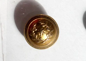 BOUTON / BUTTON UNIFORME MILITAIRE ARMÉE - LAURIER ETOILE SUPERIEUR France 18mm - Picture 1 of 2
