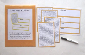 Teacher Made Alphabetisierungszentrum Lernressourcenspiel Hauptidee & Details - Bild 1 von 2