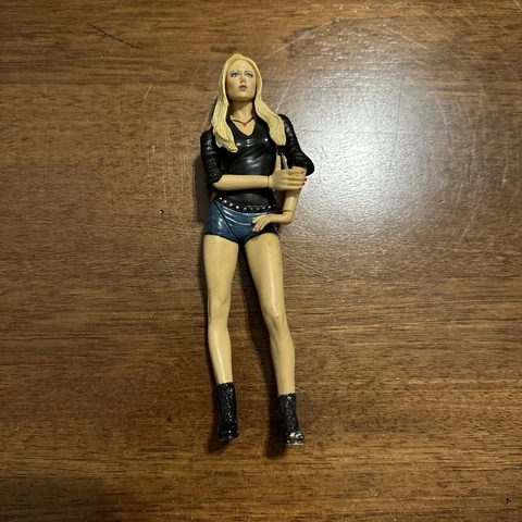 2003 Jakks Pacific WWE Diva Stacy Keibler 6” Action Figure Cover