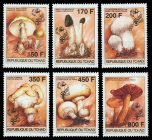 Tschad 1996 - Mi-Nr. 1265-1270 A ** - MNH - Pilze / Mushrooms - Bild 1 von 1