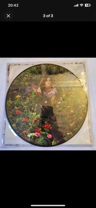 Katy Perry PRISM 2 x Vinyl LP Picture Disc 2014 Record Store Day Release Rare - Picture 1 of 6