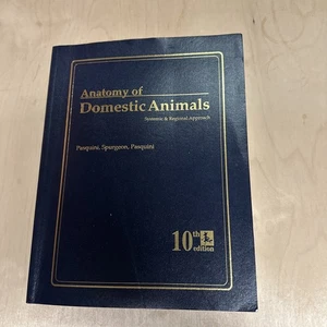 Anatomy of Domestic Animals: Systemic & Regional Approach 10th Edition Pasquini - Foto 1 di 1