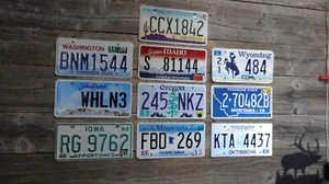 10 License Plates from different states Mixed lot of license plates bulk sale!!! - Picture 1 of 1
