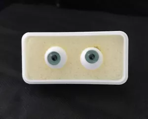 Ojos de muñeca de vidrio sólido verde de Tallina 14 mm - Imagen 1 de 3
