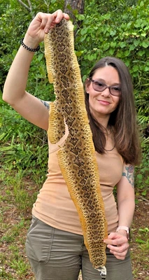 Rattlesnake skin hide pelt Leather Hide Eastern Diamond Back Costume Crafts - Image 1 of 4