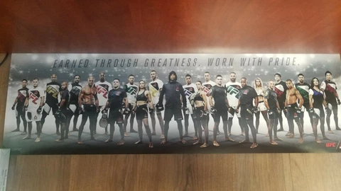 UFC and REEBOK Earned Thru Greatness Worn with Pride poster 2015 38"x30" Cover