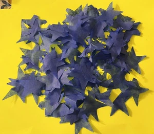 Taylor Swift Official Merch The Eras 1989 Blue Star Confetti - Picture 1 of 2