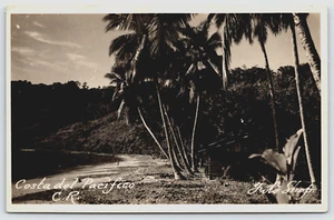 Postal RPPC Costa Rica Costa Del Pacífico, Costa del Pacífico Foto Real Palmeras - Imagen 1 de 4