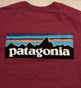 Patagonia t-shirt. Size Small S Pink - Picture 1 of 5