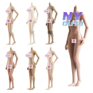 MUÑECA JIAOU Figura Femenina Sin costuras 1/6 Cuerpo de Busto Medio con Pie No Desmontable - Imagen 1 de 5