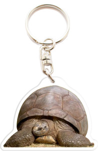 Custom Keyring Turtle Photo Text Idea Gift Animals Reptile R1