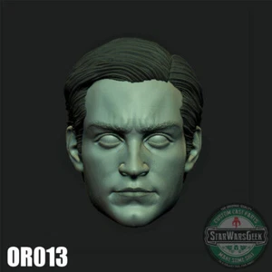 Multiverse Spider-Man Tobey Maguire Custom Head 4" 6" 7" 12" Actionfiguren - Bild 1 von 1
