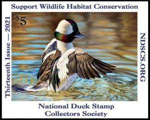 NDS13 — 2021 National Duck Stamp Collectors Society - Picture 1 of 1