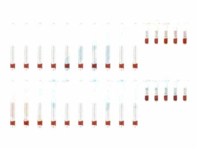 For 2004-2011 Chevrolet Tahoe Head Bolt Set 54768ZB 2005 2006 2007 2008 2009 - Image 1 of 2