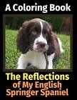 The Reflections of My English Springer Spaniel: A Coloring Book by Brightview...