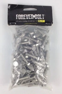 QTY 100 FOREVER BOLT 36RG17 FB3HEXB14201P100 1/4"-20 1" L NL-19 SS BOLT FS - Picture 1 of 3