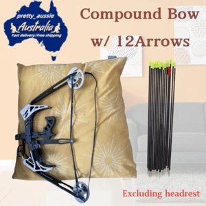 30lbs Compound Bow w/12Arrows Bowstring Breaks&Falls Off Other Components Intact - Picture 1 of 6