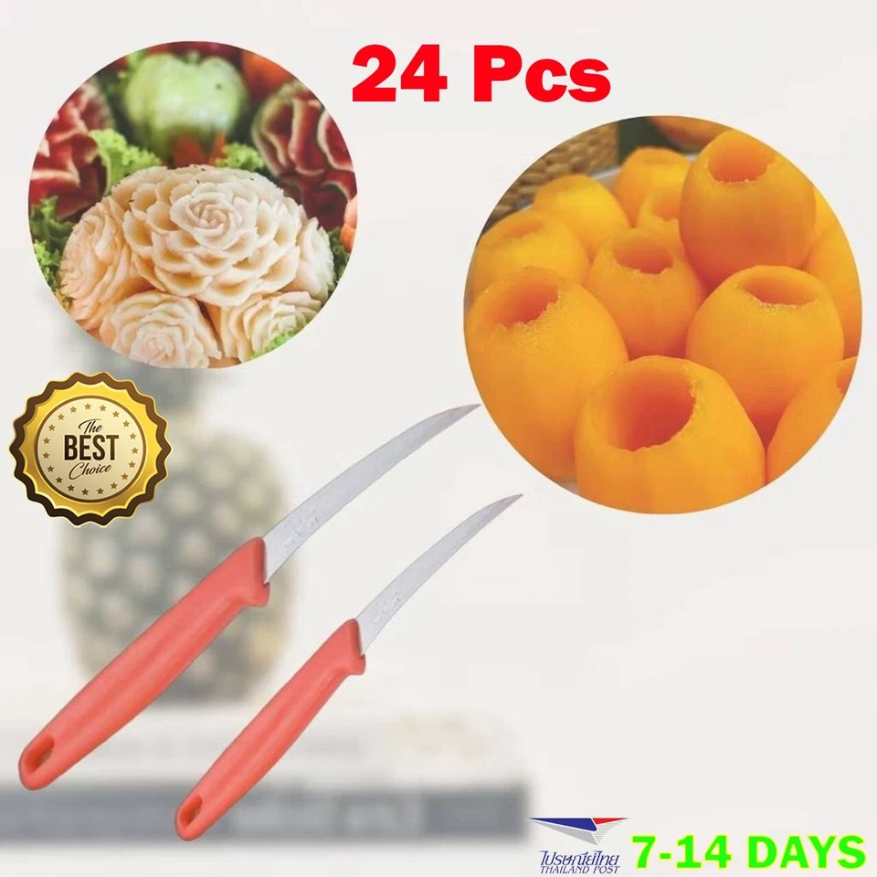 24 x оптовая продажа фрукты/овощи резьба ножи 3 дюйма тайский резчик инструмент искусства инструмент De - Изображение 1 из 4
