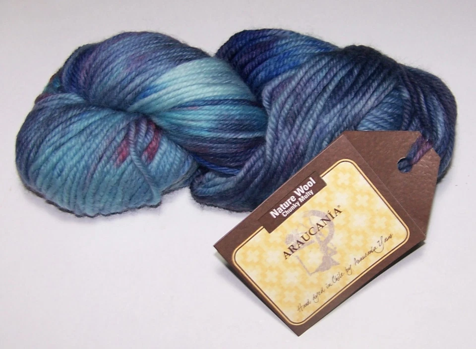 10 skeins Araucania NATURE WOOL CHUNKY Multi 100% Wool Yarn #202 EVENING SKY - Image 1 of 1