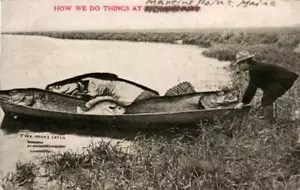 RIESIGER FISCH IM KANU, FISCHER AUF VINTAGE 1917 ÜBERTREIBUNG POSTKARTE - Bild 1 von 2
