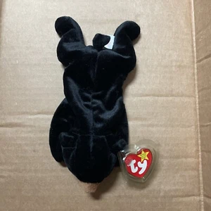 TY Beanie Baby - BLACKIE der Schwarzbär (8,5 Zoll) - Bild 1 von 2