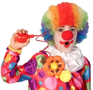 Clown Accessory Starter Kit rainbow wig foam nose squirt flower circus kid party - Picture 1 of 14